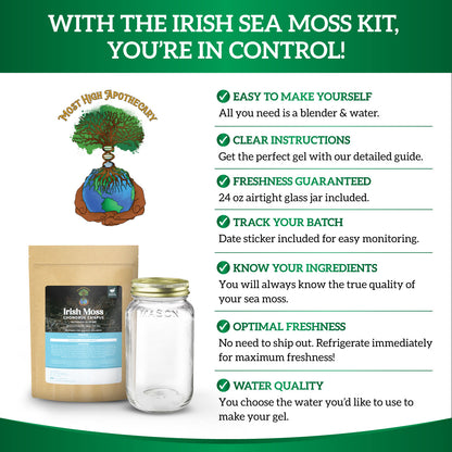 Irish Sea Moss Gel Kit: Wildcrafted Chondrus Crispus, Sea Moss Gel