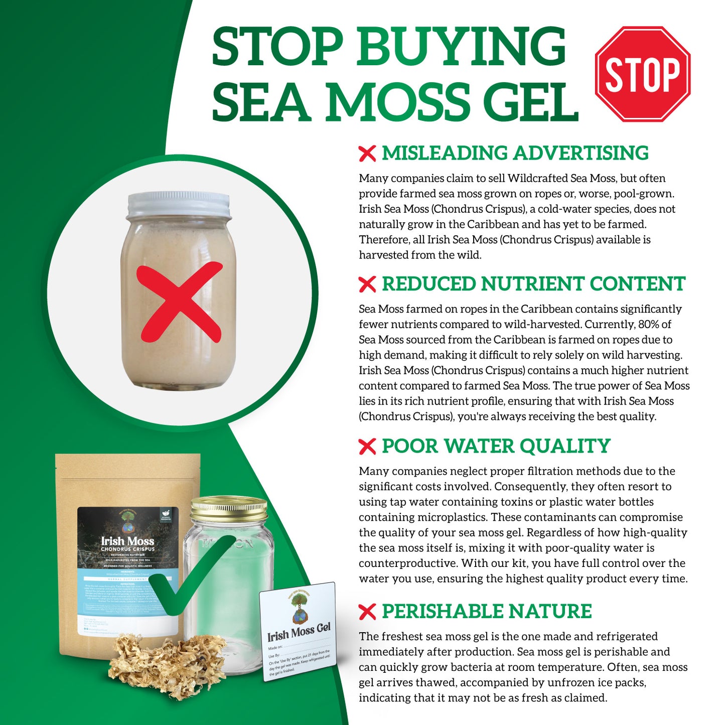 Irish Sea Moss Gel Kit: Wildcrafted Chondrus Crispus, Sea Moss Gel