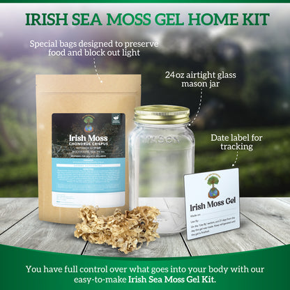 Irish Sea Moss Gel Kit: Wildcrafted Chondrus Crispus, Sea Moss Gel