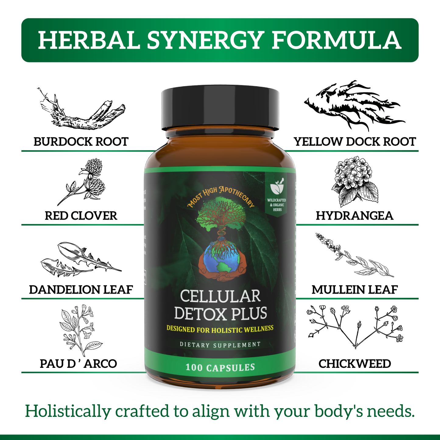 Cellular Detox Plus: Detox Herbs, Herbal Supplement